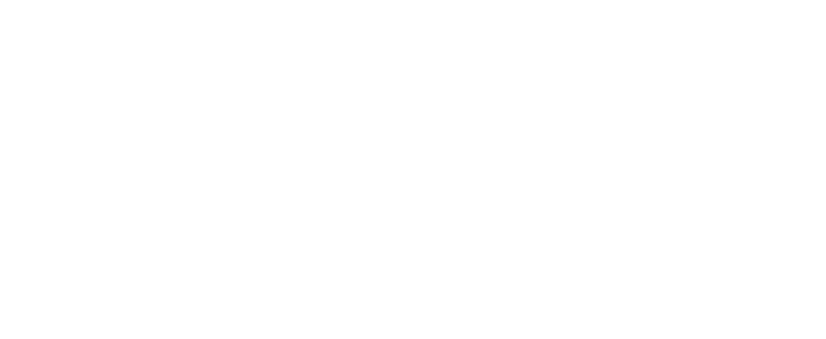 The Bassirpou Group